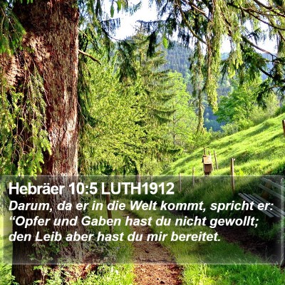 Hebräer 10:5 LUTH1912 Bible Verse Image