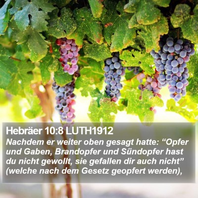 Hebräer 10:8 LUTH1912 Bible Verse Image