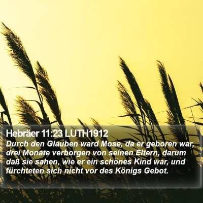 Hebräer 11:23 LUTH1912 Bible Verse Image