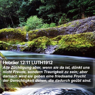 Hebräer 12:11 LUTH1912 Bible Verse Image
