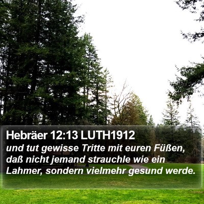 Hebräer 12:13 LUTH1912 Bible Verse Image