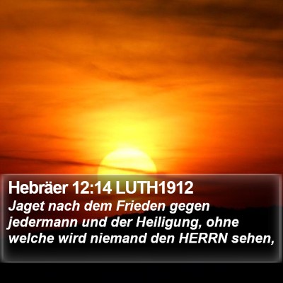 Hebräer 12:14 LUTH1912 Bible Verse Image