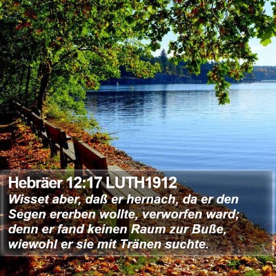 Hebräer 12:17 LUTH1912 Bible Verse Image