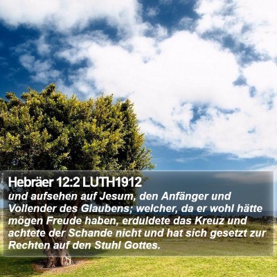 Hebräer 12:2 LUTH1912 Bible Verse Image