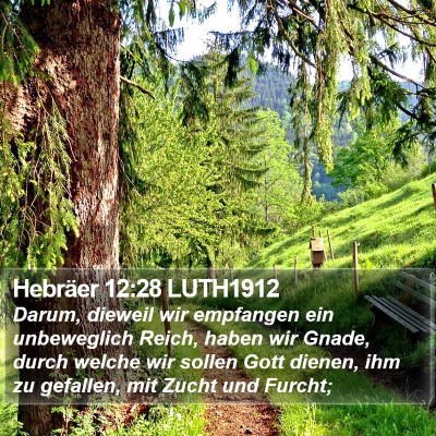 Hebräer 12:28 LUTH1912 Bible Verse Image