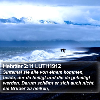 Hebräer 2:11 LUTH1912 Bible Verse Image