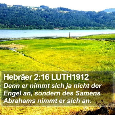 Hebräer 2:16 LUTH1912 Bible Verse Image
