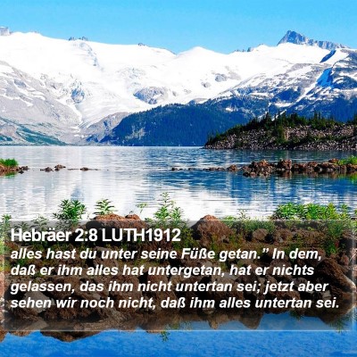Hebräer 2:8 LUTH1912 Bible Verse Image