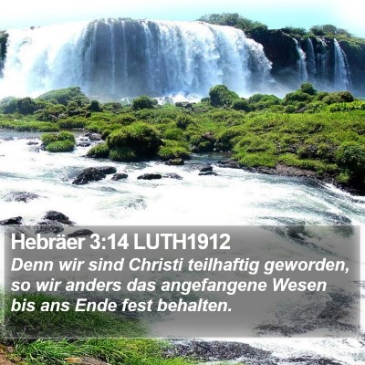Hebräer 3:14 LUTH1912 Bible Verse Image