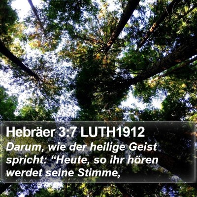 Hebräer 3:7 LUTH1912 Bible Verse Image