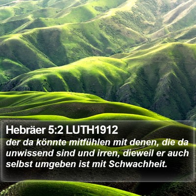 Hebräer 5:2 LUTH1912 Bible Verse Image