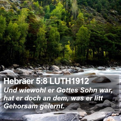 Hebräer 5:8 LUTH1912 Bible Verse Image