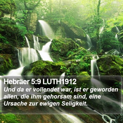 Hebräer 5:9 LUTH1912 Bible Verse Image