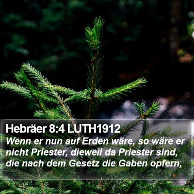 Hebräer 8:4 LUTH1912 Bible Verse Image