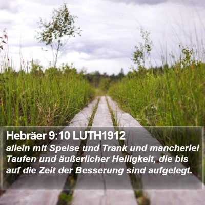 Hebräer 9:10 LUTH1912 Bible Verse Image
