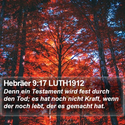 Hebräer 9:17 LUTH1912 Bible Verse Image
