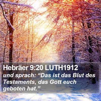 Hebräer 9:20 LUTH1912 Bible Verse Image