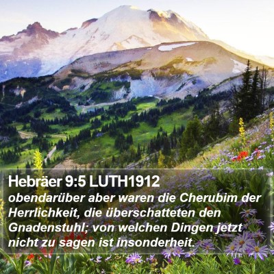 Hebräer 9:5 LUTH1912 Bible Verse Image