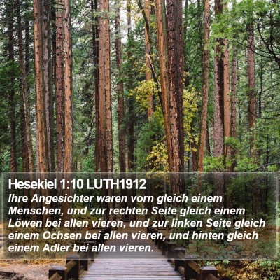 Hesekiel 1:10 LUTH1912 Bible Verse Image
