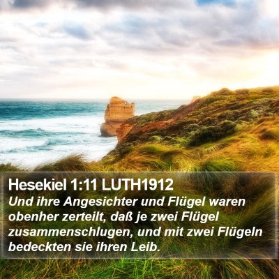 Hesekiel 1:11 LUTH1912 Bible Verse Image