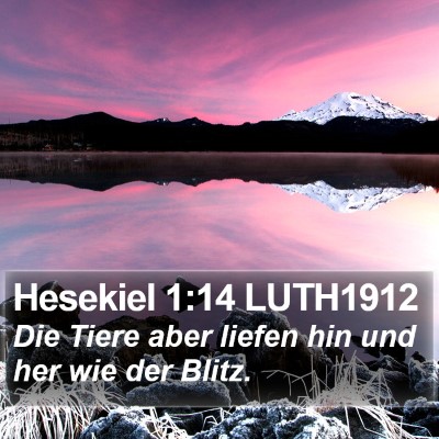Hesekiel 1:14 LUTH1912 Bible Verse Image