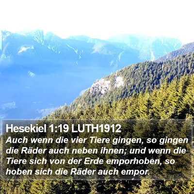 Hesekiel 1:19 LUTH1912 Bible Verse Image