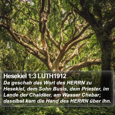 Hesekiel 1:3 LUTH1912 Bible Verse Image