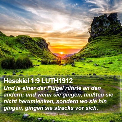 Hesekiel 1:9 LUTH1912 Bible Verse Image