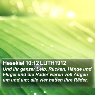 Hesekiel 10:12 LUTH1912 Bible Verse Image