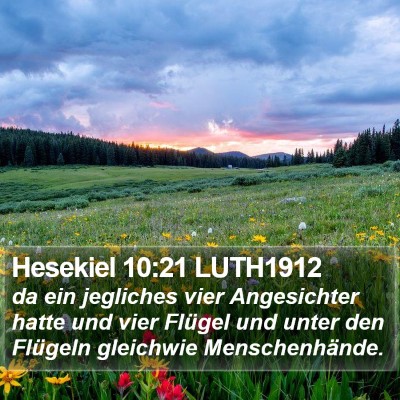 Hesekiel 10:21 LUTH1912 Bible Verse Image