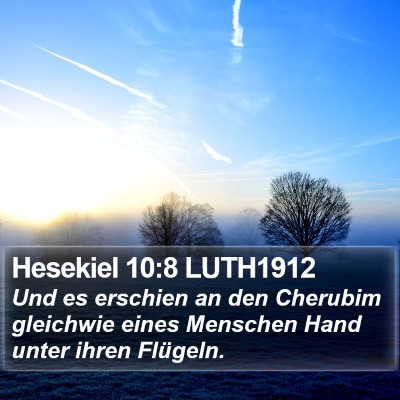 Hesekiel 10:8 LUTH1912 Bible Verse Image