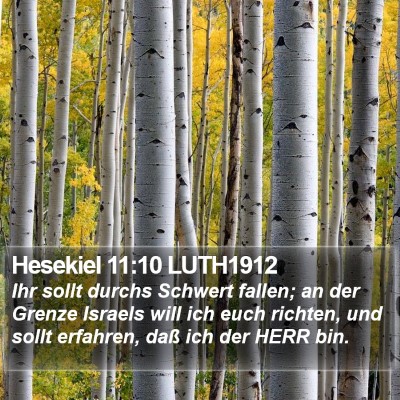 Hesekiel 11:10 LUTH1912 Bible Verse Image