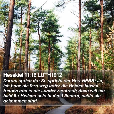 Hesekiel 11:16 LUTH1912 Bible Verse Image