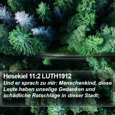 Hesekiel 11:2 LUTH1912 Bible Verse Image