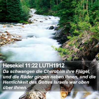 Hesekiel 11:22 LUTH1912 Bible Verse Image
