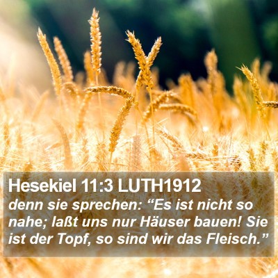 Hesekiel 11:3 LUTH1912 Bible Verse Image