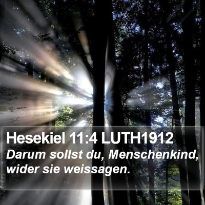Hesekiel 11:4 LUTH1912 Bible Verse Image