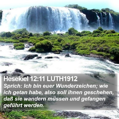 Hesekiel 12:11 LUTH1912 Bible Verse Image