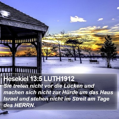 Hesekiel 13:5 LUTH1912 Bible Verse Image
