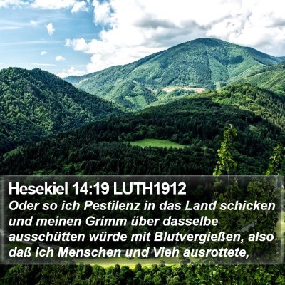 Hesekiel 14:19 LUTH1912 Bible Verse Image