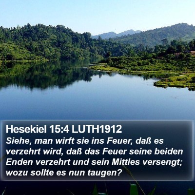 Hesekiel 15:4 LUTH1912 Bible Verse Image