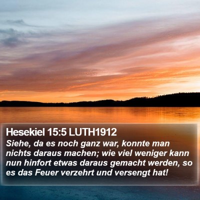 Hesekiel 15:5 LUTH1912 Bible Verse Image