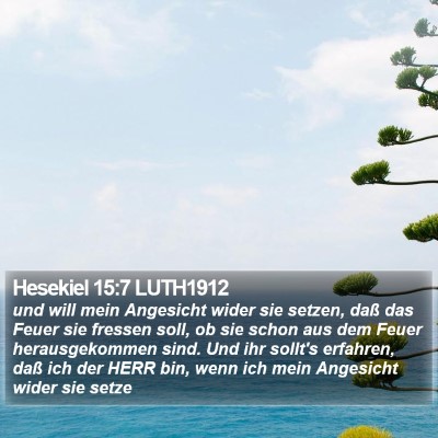Hesekiel 15:7 LUTH1912 Bible Verse Image
