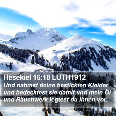 Hesekiel 16:18 LUTH1912 Bible Verse Image