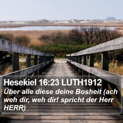 Hesekiel 16:23 LUTH1912 Bible Verse Image