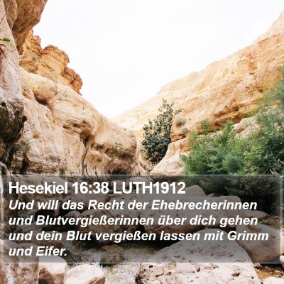 Hesekiel 16:38 LUTH1912 Bible Verse Image