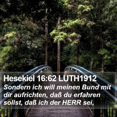 Hesekiel 16:62 LUTH1912 Bible Verse Image