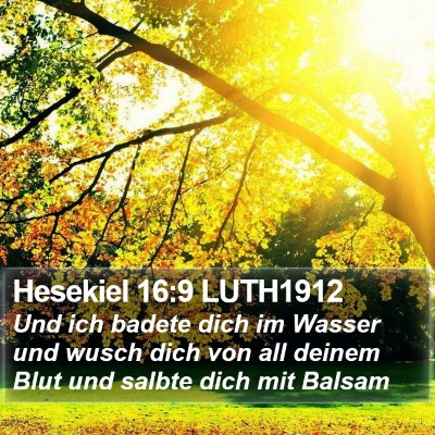 Hesekiel 16:9 LUTH1912 Bible Verse Image