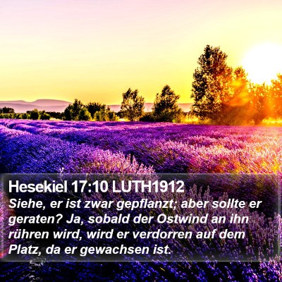 Hesekiel 17:10 LUTH1912 Bible Verse Image