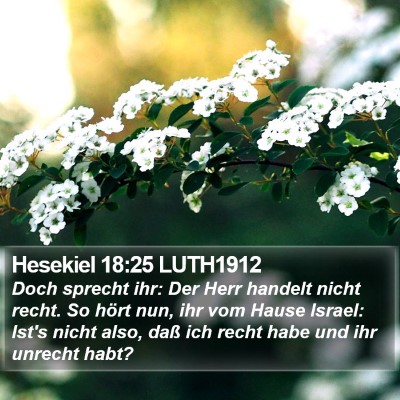 Hesekiel 18:25 LUTH1912 Bible Verse Image